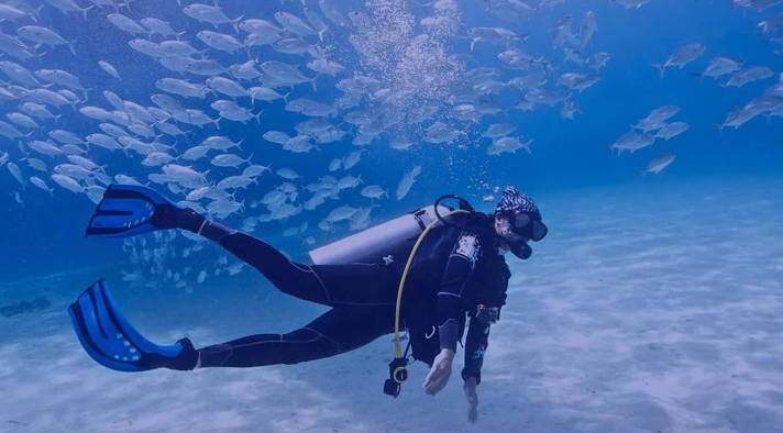 diving fitness assessment