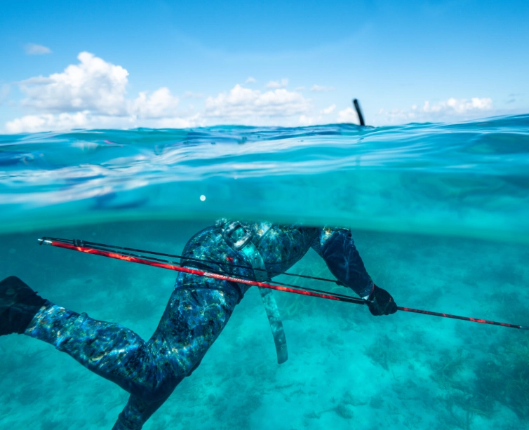 Spearfishing techniques Spearfishing techniques