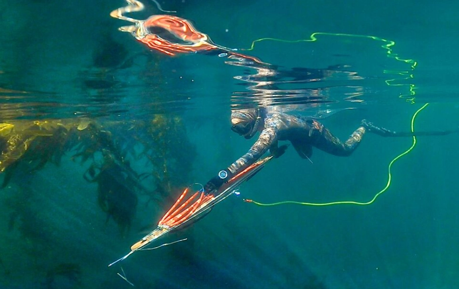 spearfishing safety spearfishing safety
