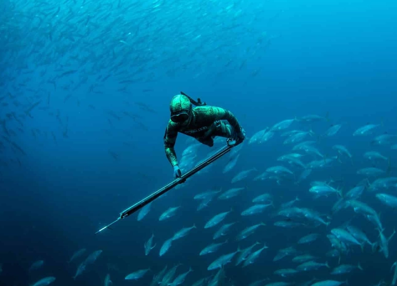 freediving safety freediving safety