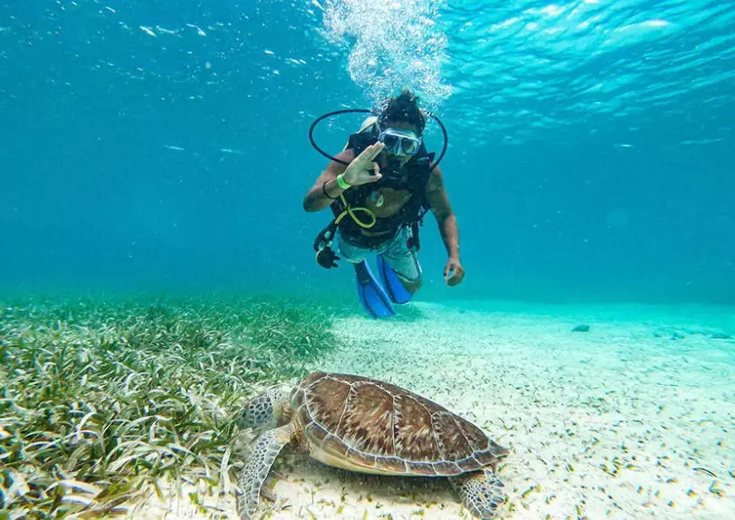 scuba diving brain scuba diving brain