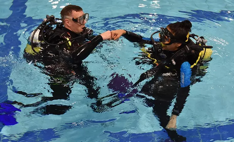 scuba diving brain scuba diving brain