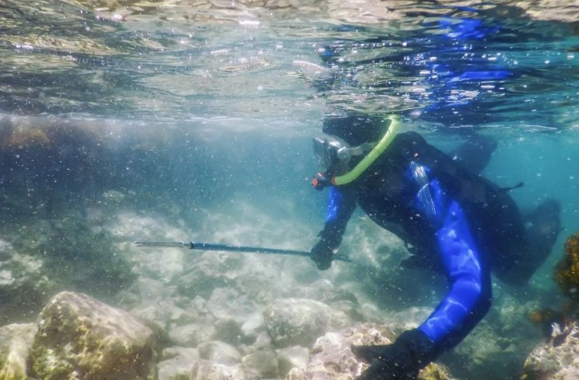 ear safety spearfishing