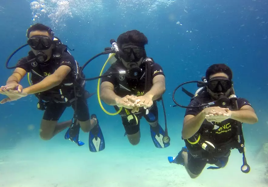 diving brain effects diving brain effects