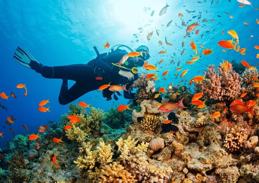 scuba diving Thailand