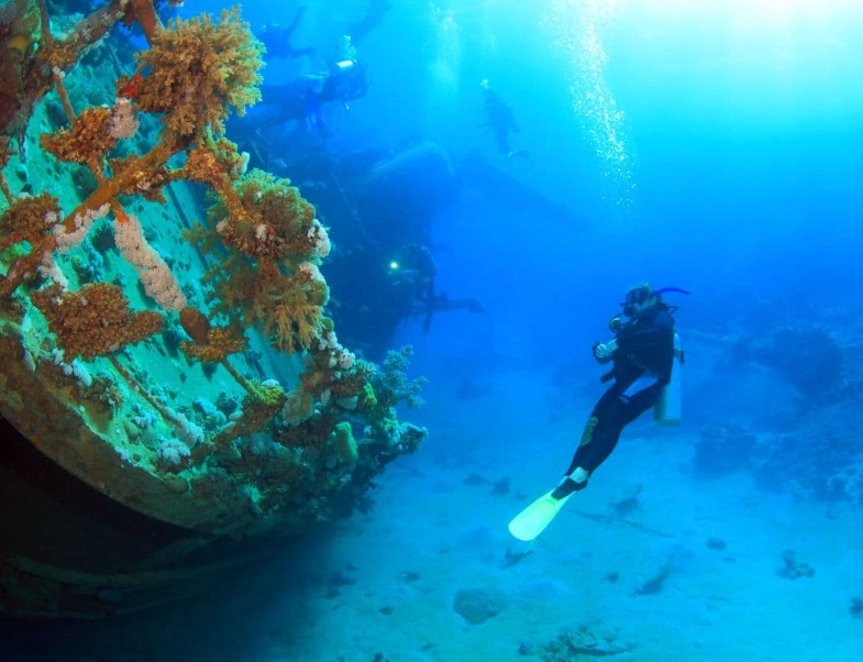 best time to dive in Philippines best time to dive in Philippines