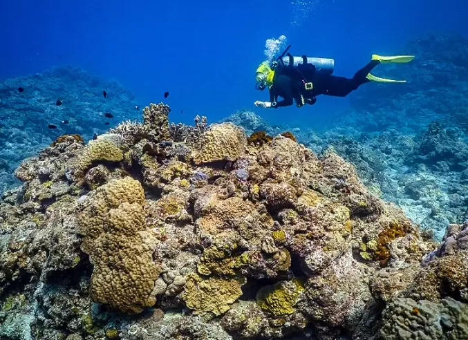 scuba diving tips for beginners