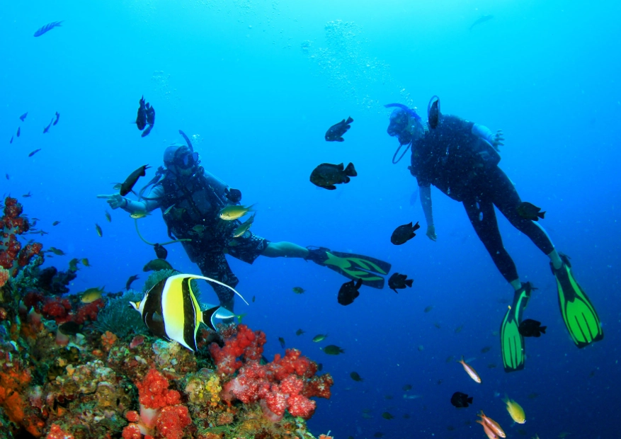 scuba diving Philippines scuba diving Philippines