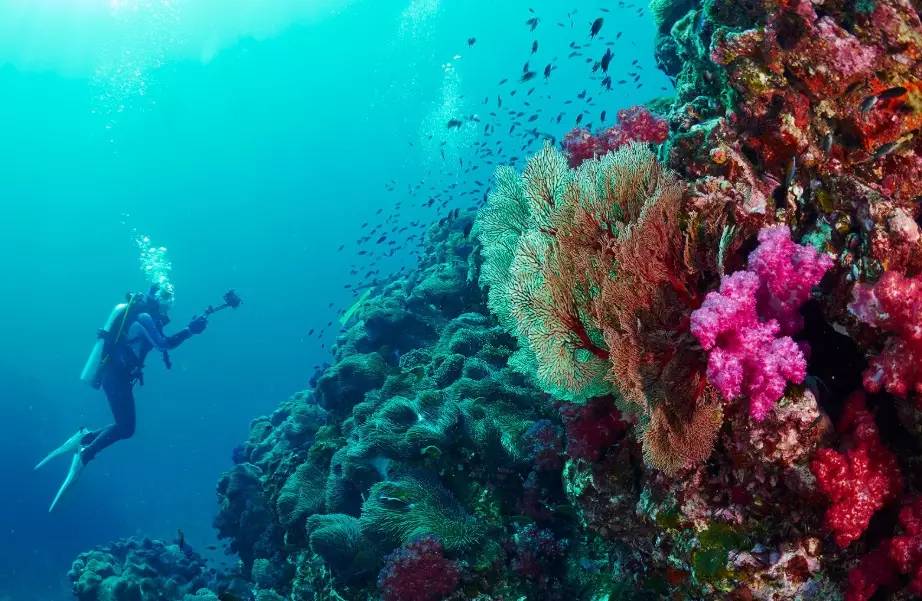 best dive sites Thailand