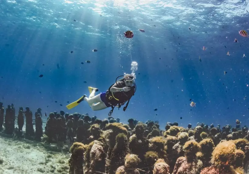 best diving in Mexico