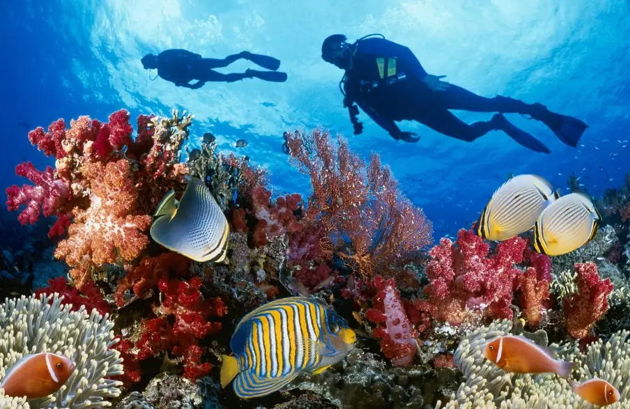 top scuba diving destinations
