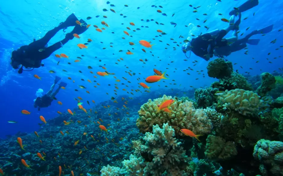 top scuba diving destinations