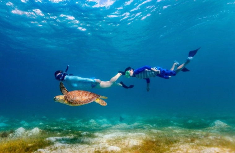 Where in the world can you swim with sea turtles?