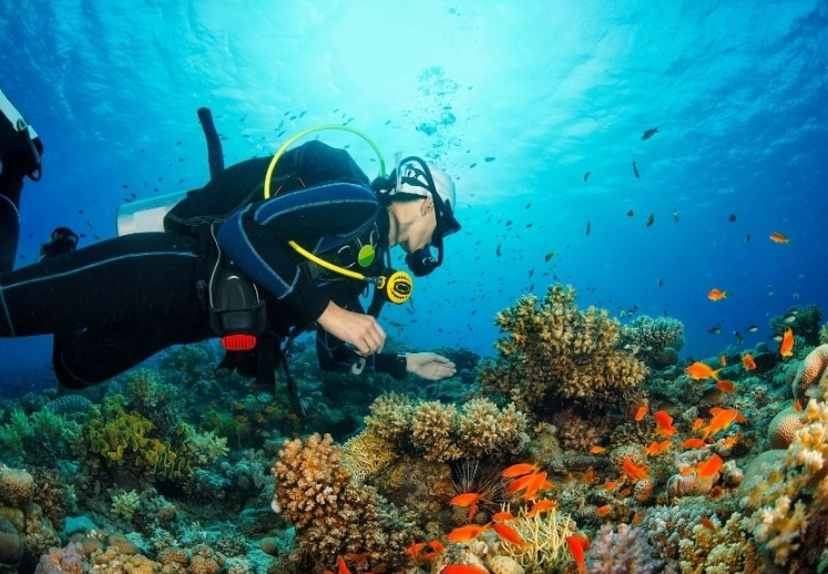 best scuba diving places in the world
