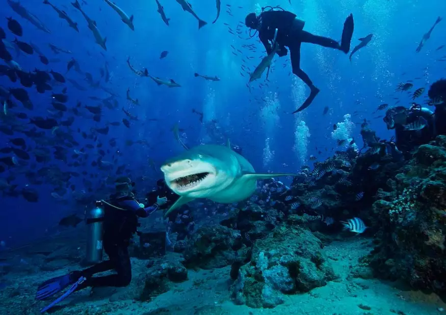 world's best dive sites