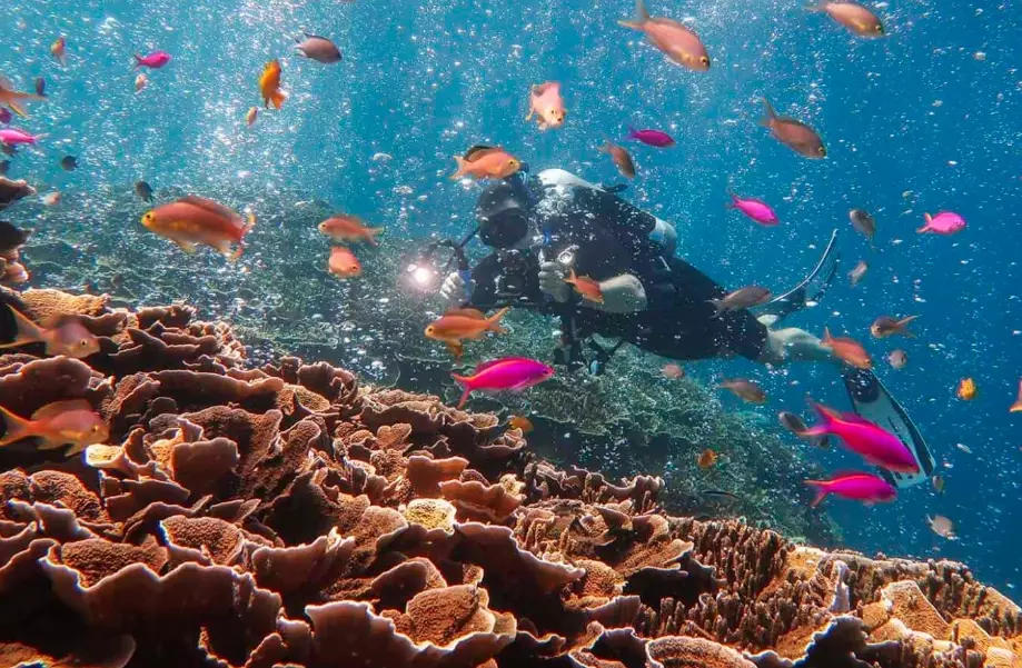 best scuba diving places in the world