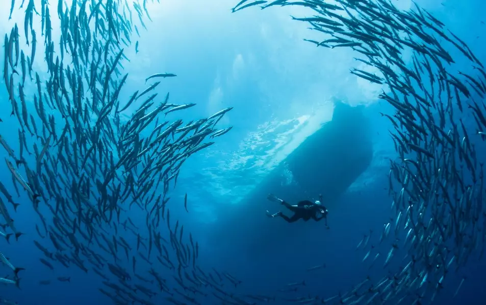 best diving countries in the world