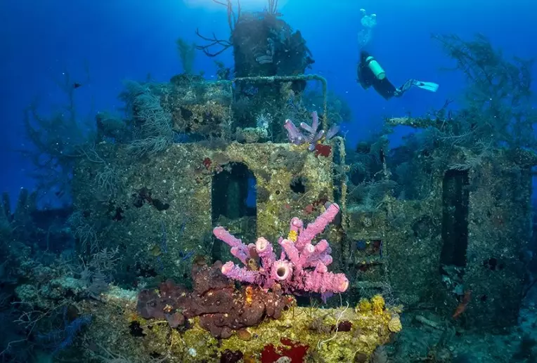 world-class dive sites world-class dive sites