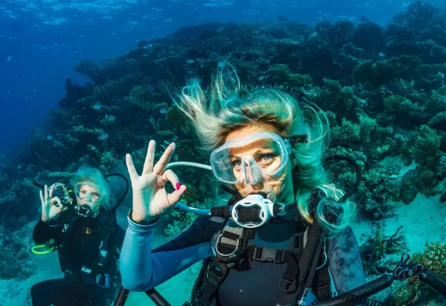best places to dive