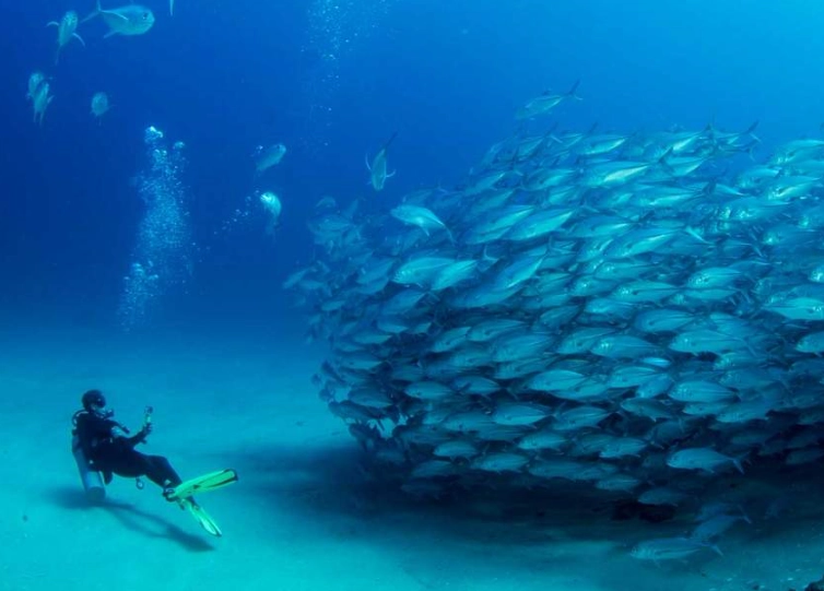 top scuba diving destinations