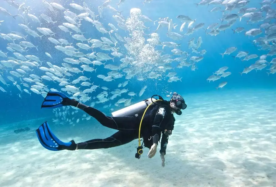 best diving countries in the world