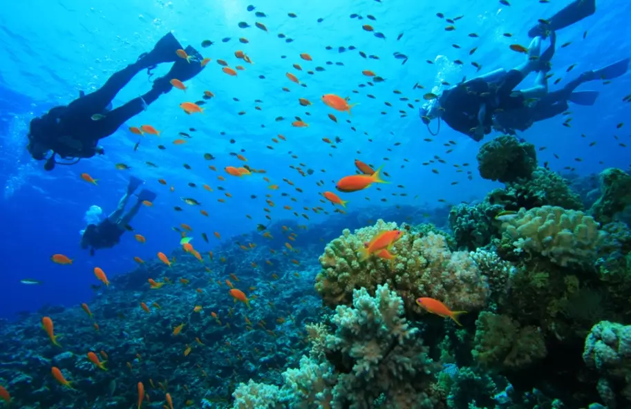 best scuba diving destinations best scuba diving destinations