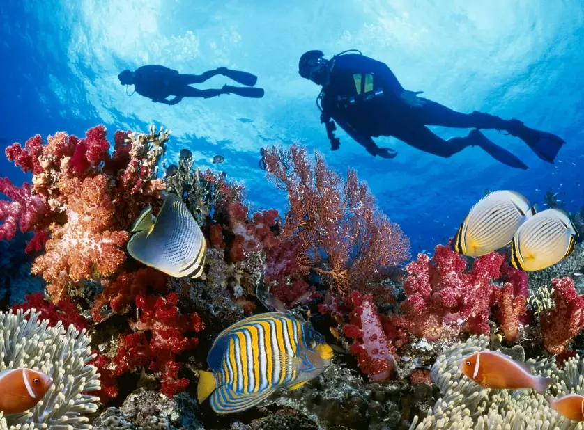 top scuba diving destinations