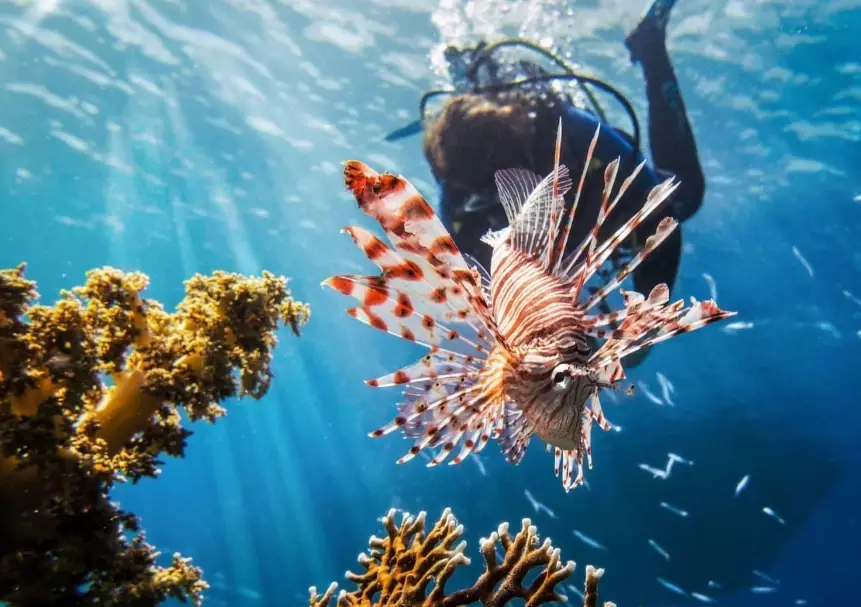 top scuba diving locations