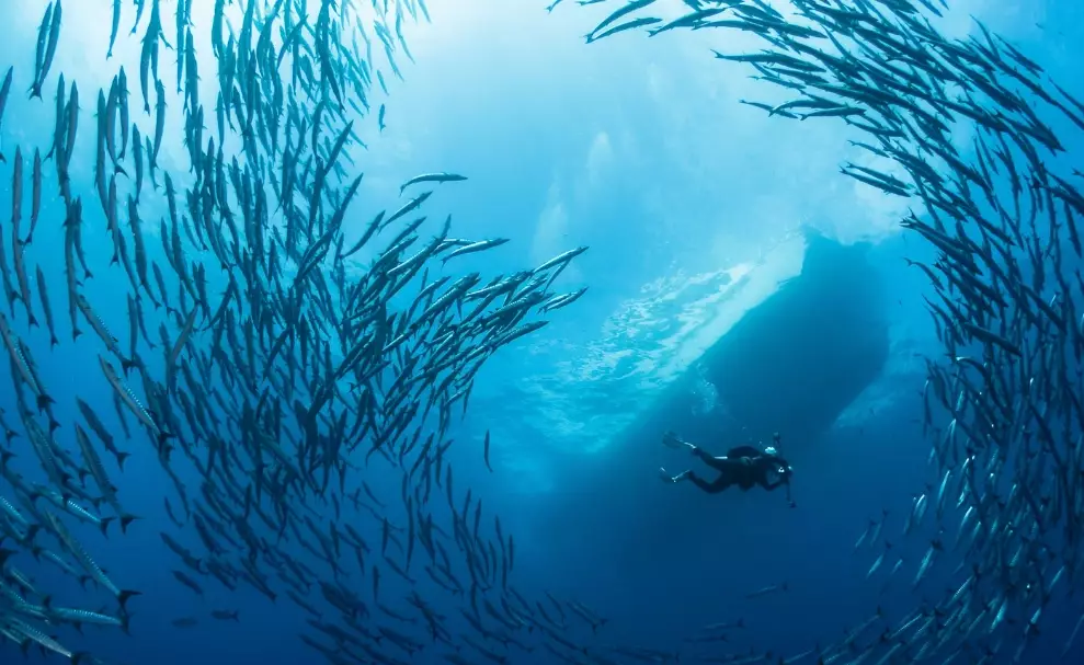 world's best diving spots