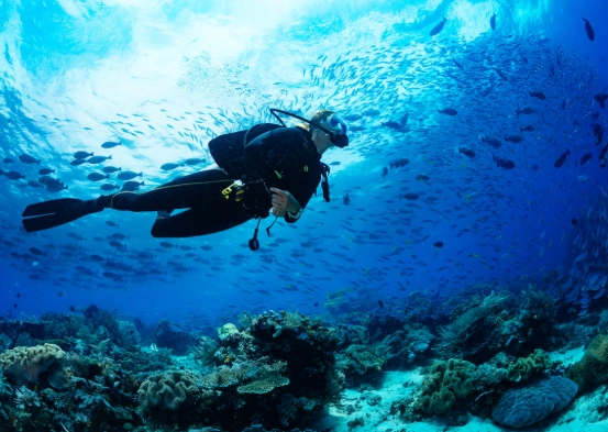 dive insurance coverage dive insurance coverage