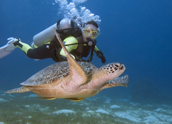 cheap scuba diving Thailand