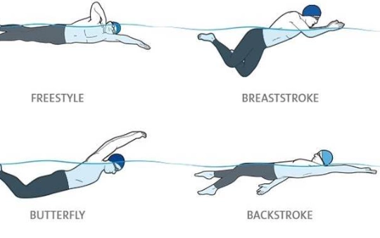 freestyle backstroke breaststroke butterfly freestyle backstroke breaststroke butterfly