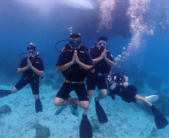 best diving Thailand best diving Thailand