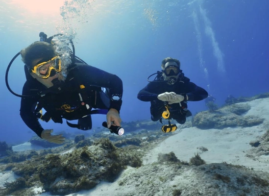 dive insurance coverage dive insurance coverage