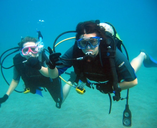 essential scuba gear essential scuba gear