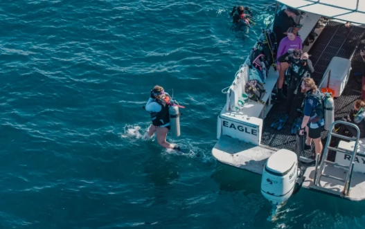 travel insurance for divers travel insurance for divers