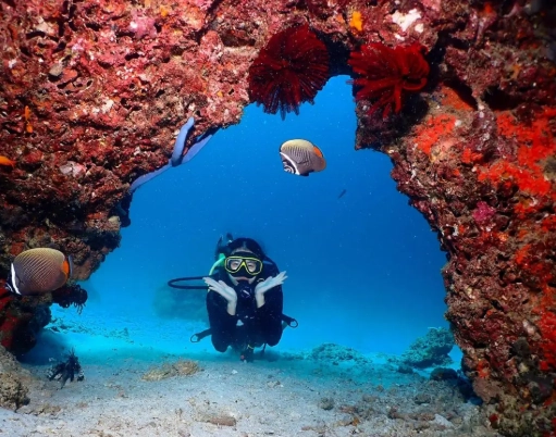 best diving Thailand best diving Thailand