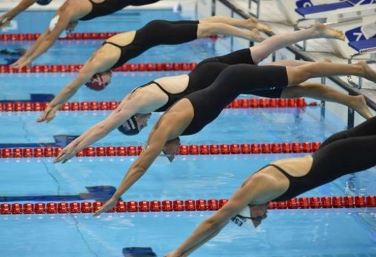 jackknife dive types jackknife dive types