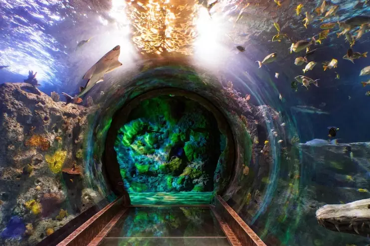 best aquarium Arizona