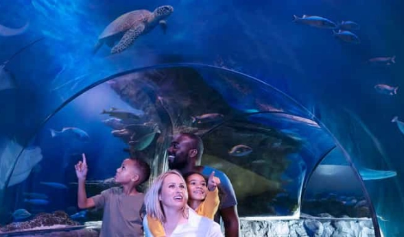 best aquarium Arizona