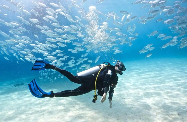 basic rules of scuba diving