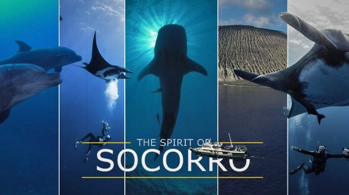 Socorro diving liveaboard