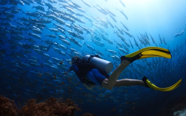 diving safety guidelines