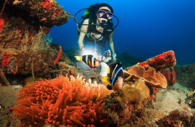 diving safety guidelines