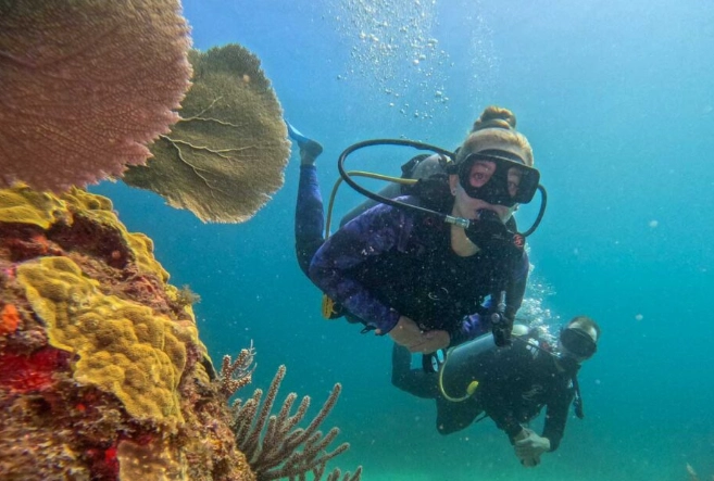 best time to dive in Mexico best time to dive in Mexico
