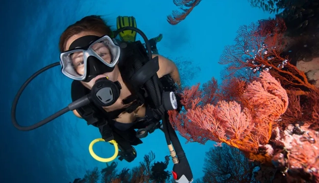 best time to dive in Mexico best time to dive in Mexico