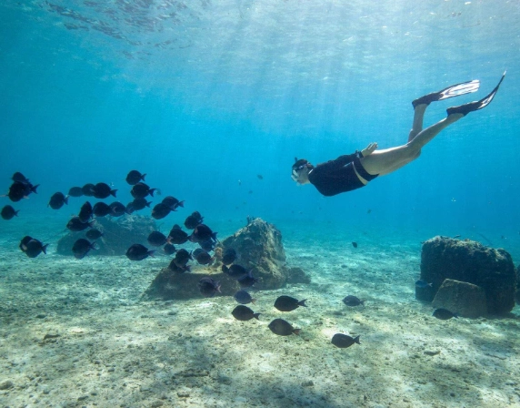 Is Diving Good in Mexico? The Ultimate Guide to Cenotes, Reefs & Whale Sharks