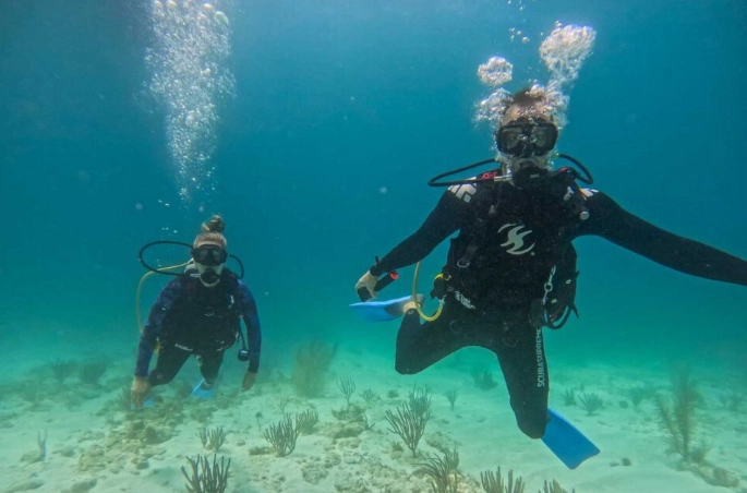 dive Mexico weather dive Mexico weather