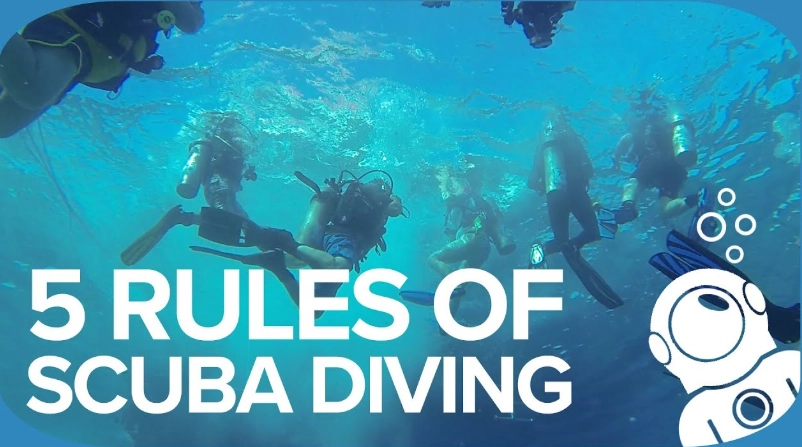 Essential Basic Rules of Diving: A Safety-First Guide for New Divers