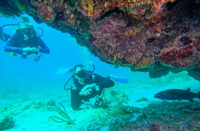 dive Mexico weather dive Mexico weather